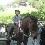 Hotel Alpino Falcade
