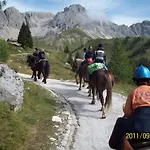 Hotel Alpino