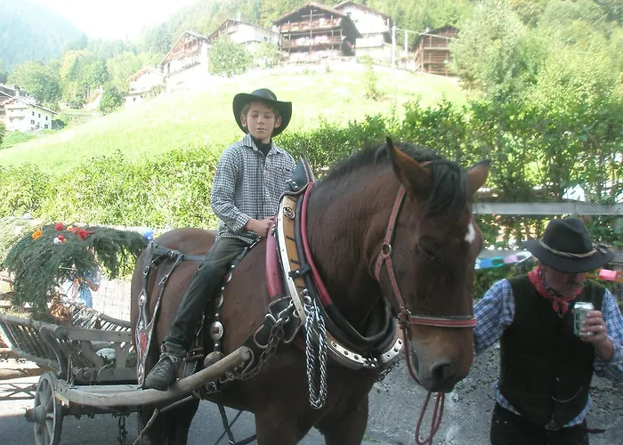 Hotel Alpino Falcade