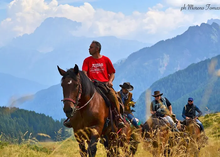Alpino 2* Falcade