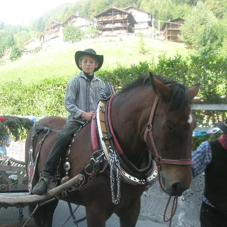 Hotel Alpino Falcade