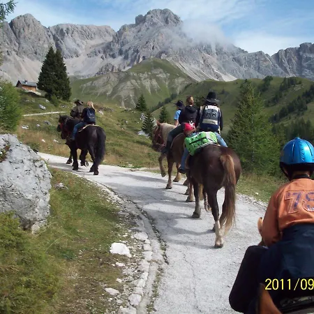 Hotel Alpino