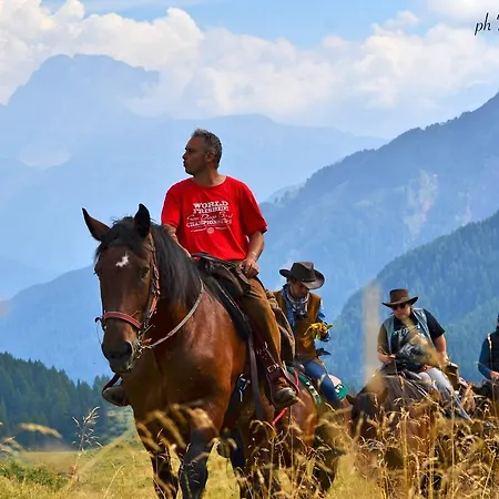 Alpino 2* Falcade